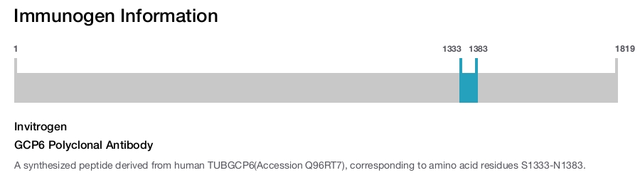 GCP6 Polyclonal Antibody