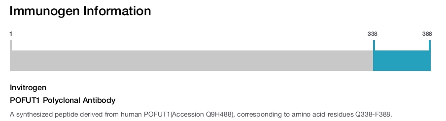 POFUT1 Polyclonal Antibody