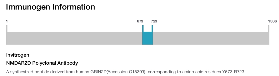 NMDAR2D Polyclonal Antibody