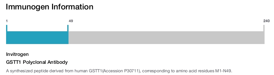 GSTT1 Polyclonal Antibody
