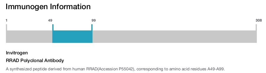 RRAD Polyclonal Antibody