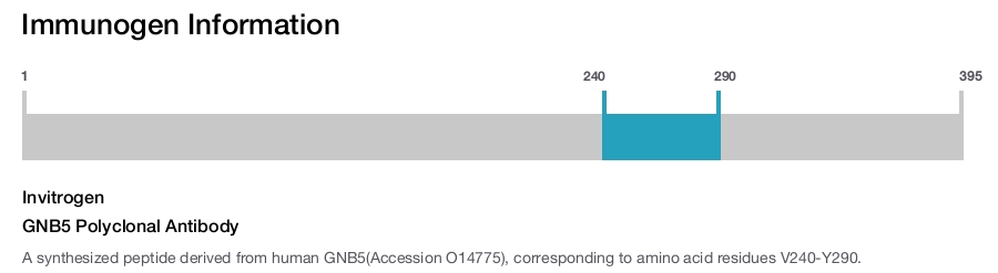 GNB5 Polyclonal Antibody