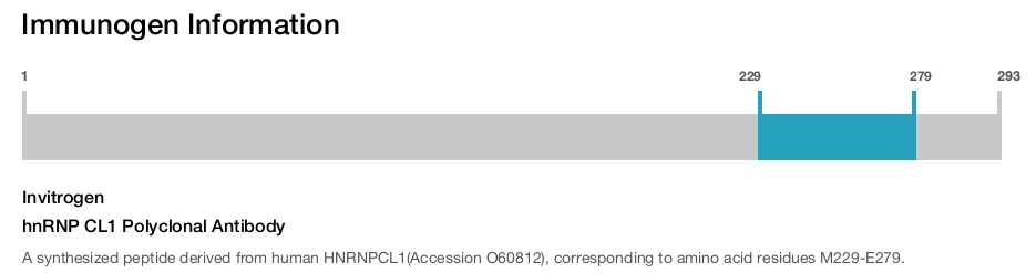 hnRNP CL1 Polyclonal Antibody