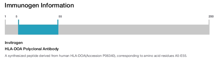 HLA-DOA Polyclonal Antibody