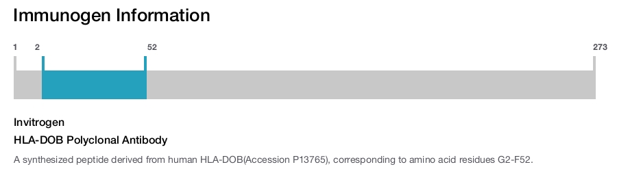 HLA-DOB Polyclonal Antibody