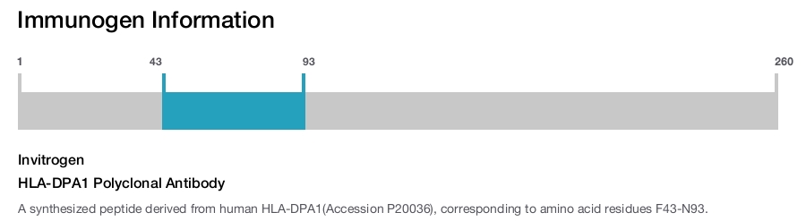HLA-DPA1 Polyclonal Antibody