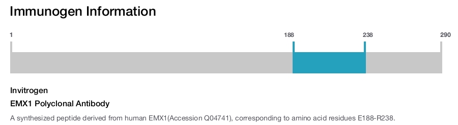 EMX1 Polyclonal Antibody