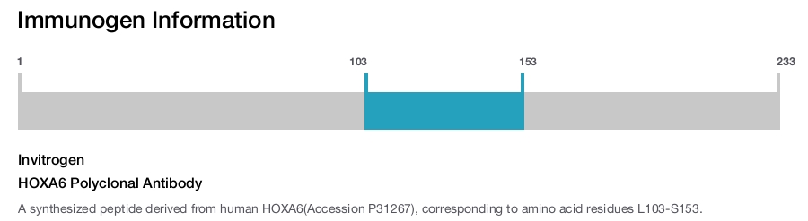 HOXA6 Polyclonal Antibody