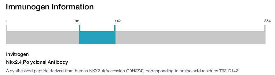 Nkx2.4 Polyclonal Antibody