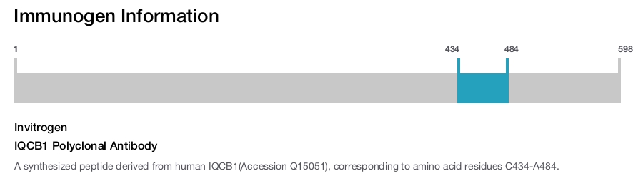 IQCB1 Polyclonal Antibody