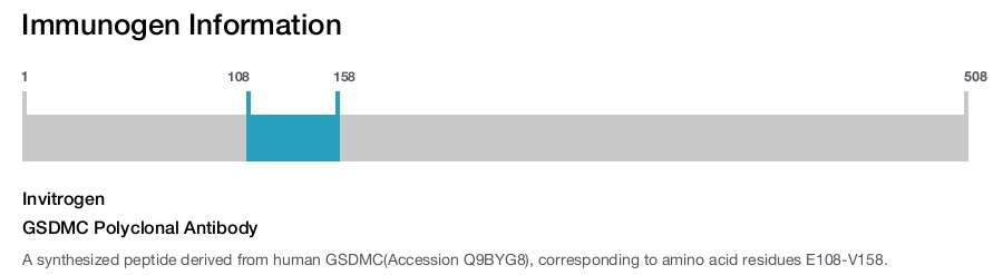 GSDMC Polyclonal Antibody