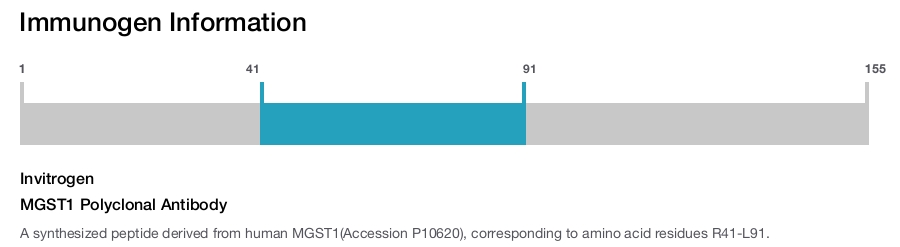 MGST1 Polyclonal Antibody
