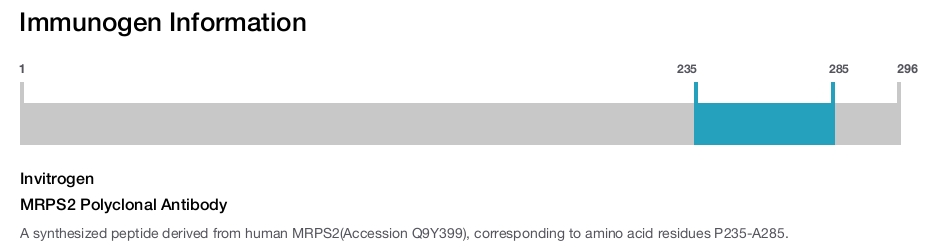 MRPS2 Polyclonal Antibody