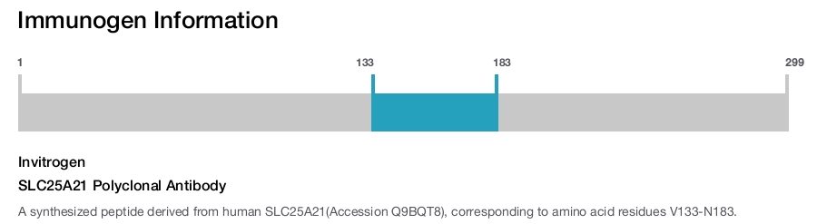 SLC25A21 Polyclonal Antibody