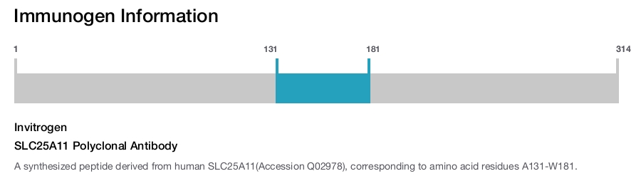 SLC25A11 Polyclonal Antibody