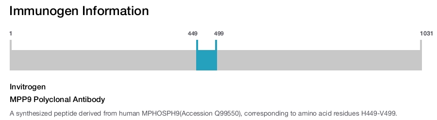 MPP9 Polyclonal Antibody