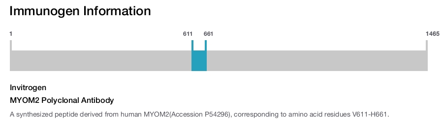 MYOM2 Polyclonal Antibody