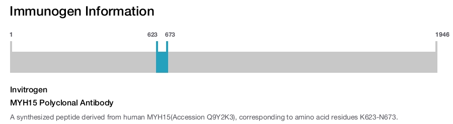 MYH15 Polyclonal Antibody