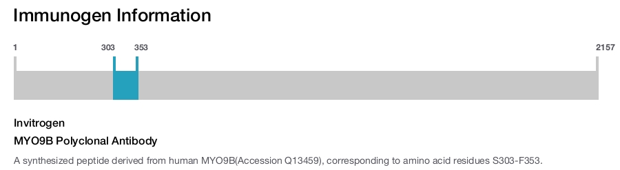 MYO9B Polyclonal Antibody