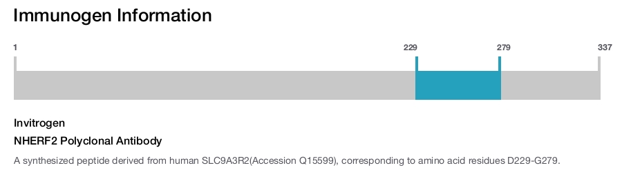 NHERF2 Polyclonal Antibody