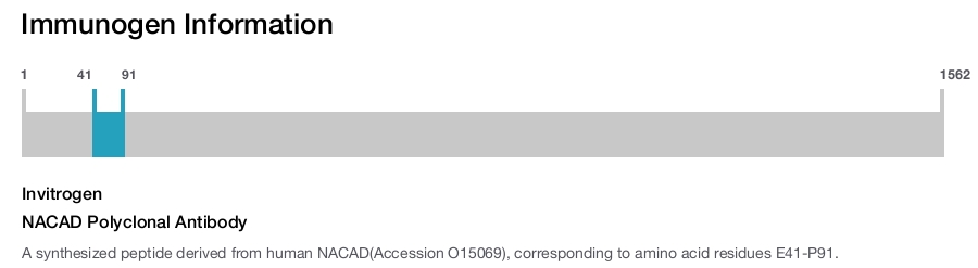 NACAD Polyclonal Antibody