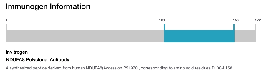 NDUFA8 Polyclonal Antibody