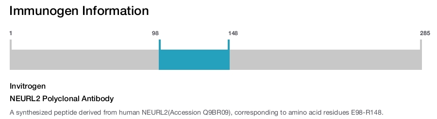 NEURL2 Polyclonal Antibody