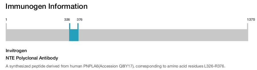 NTE Polyclonal Antibody