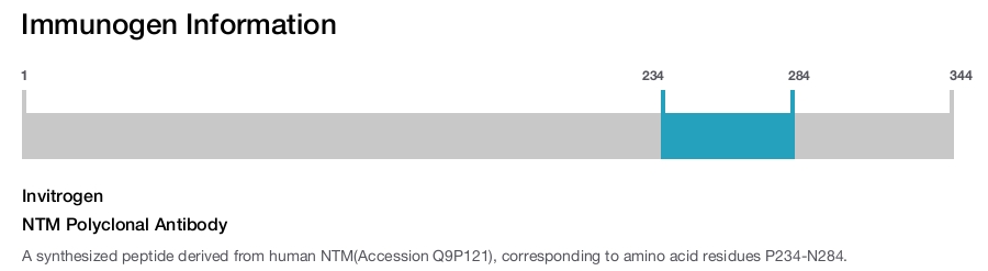 NTM Polyclonal Antibody