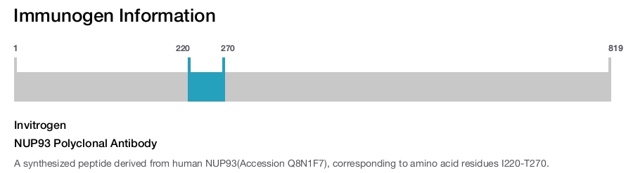 NUP93 Polyclonal Antibody