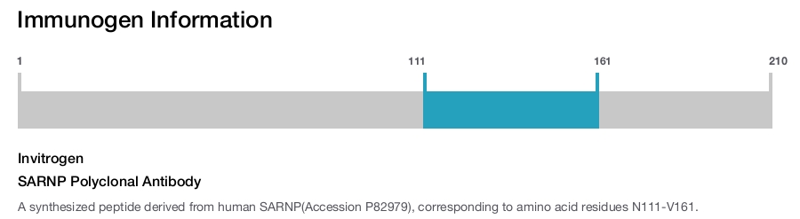 SARNP Polyclonal Antibody