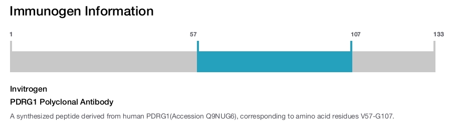 PDRG1 Polyclonal Antibody
