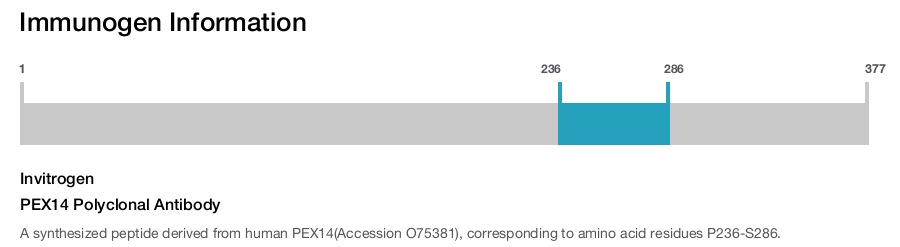 PEX14 Polyclonal Antibody