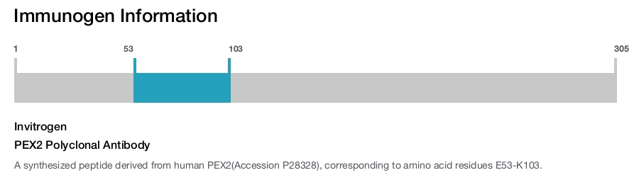 PEX2 Polyclonal Antibody