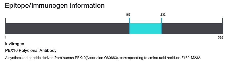 PEX10 Polyclonal Antibody