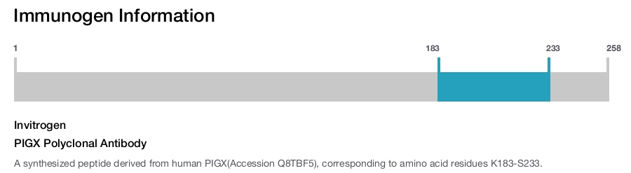 PIGX Polyclonal Antibody