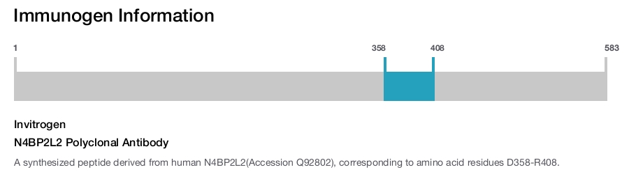 N4BP2L2 Polyclonal Antibody