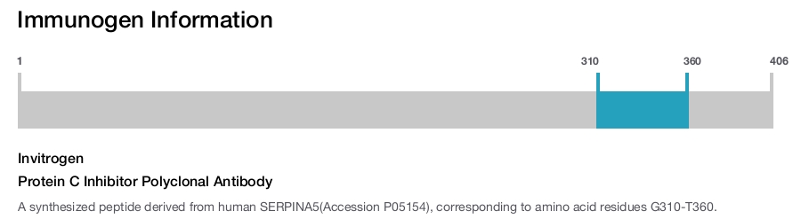 Protein C Inhibitor Polyclonal Antibody