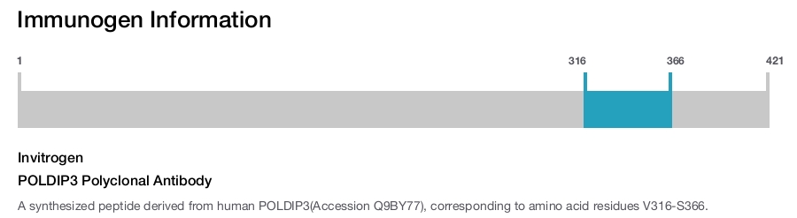 POLDIP3 Polyclonal Antibody