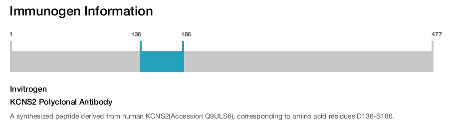 KCNS2 Polyclonal Antibody