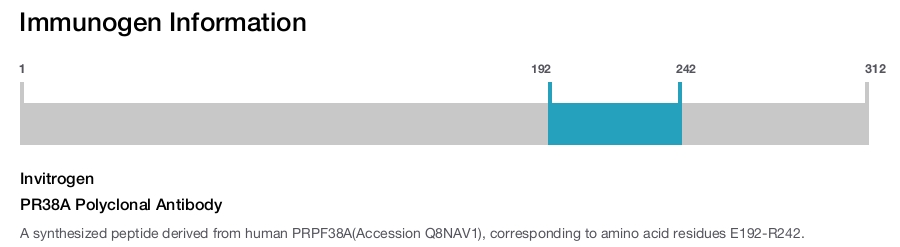 PR38A Polyclonal Antibody