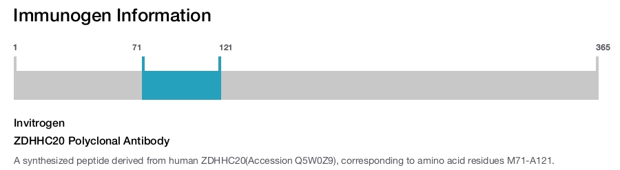 ZDHHC20 Polyclonal Antibody