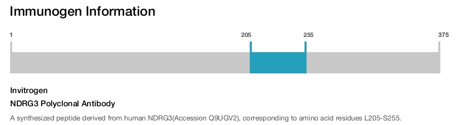 NDRG3 Polyclonal Antibody