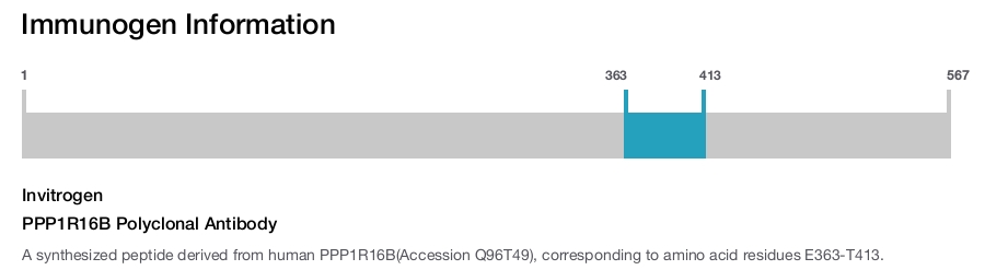 PPP1R16B Polyclonal Antibody