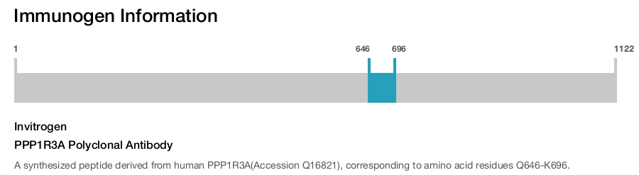 PPP1R3A Polyclonal Antibody