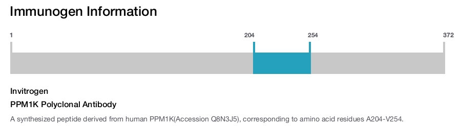 PPM1K Polyclonal Antibody