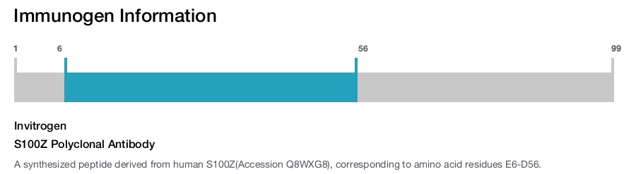 S100Z Polyclonal Antibody