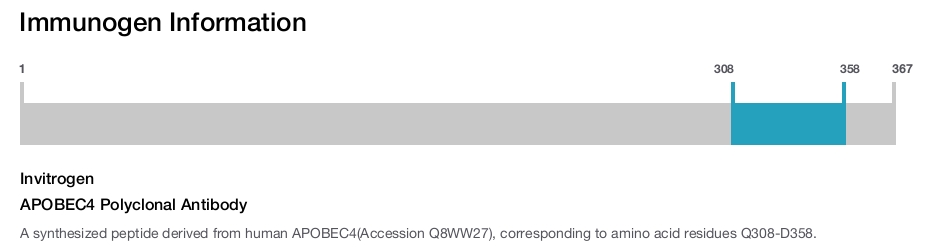 APOBEC4 Polyclonal Antibody