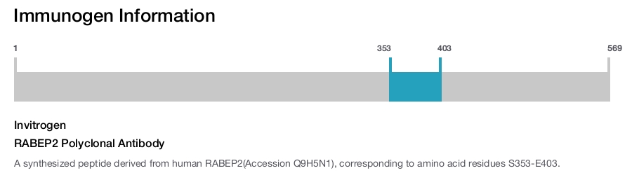 RABEP2 Polyclonal Antibody