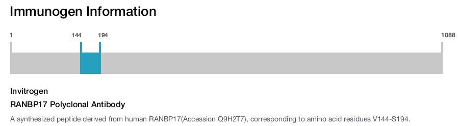 RANBP17 Polyclonal Antibody